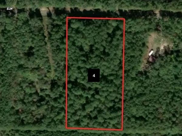 000 Elm Street , Traskwood, AR 72167