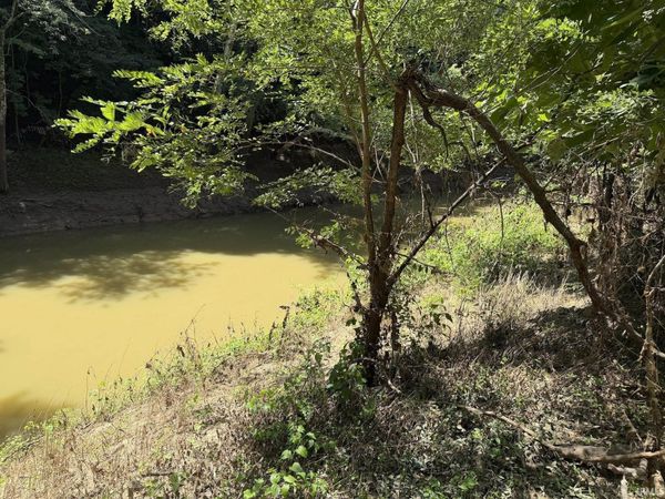 W River Road, Patoka, IN 47666