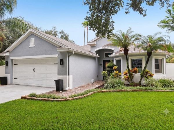 19009 FALCONS PLACE , TAMPA, FL 33647