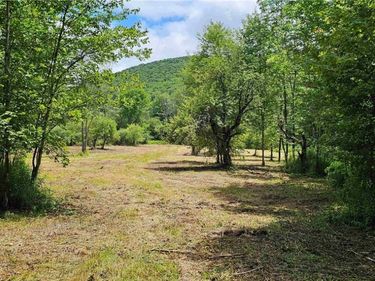 1233 State Route 221, Marathon, NY 13803