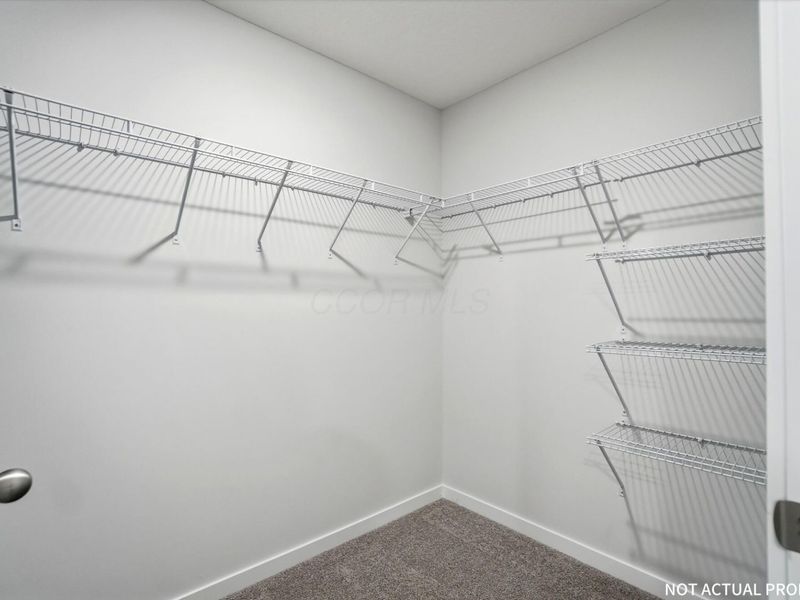 5899 Scarlet Birch Drive , Canal Winchester, OH 43110 Photo 27