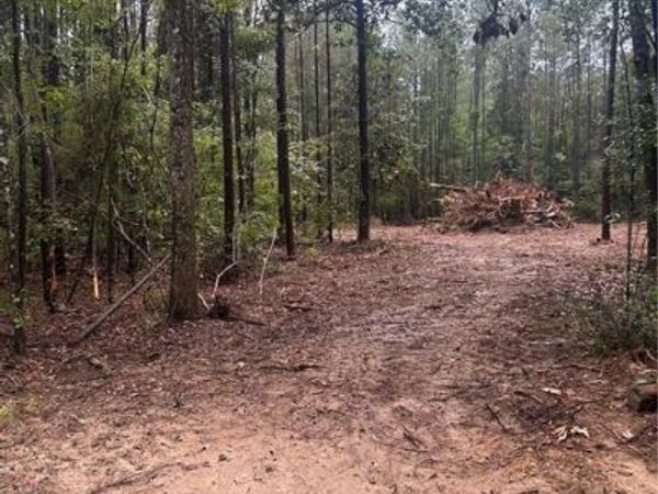 TBD BENNETT Road , Independence, LA 70443