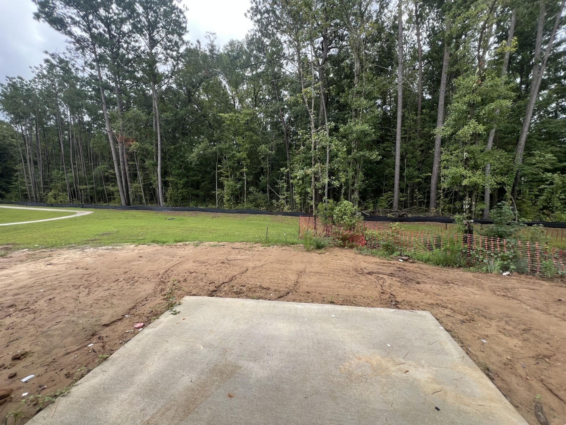 243 Central Creek Drive Photo 2