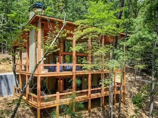 1360 Black Ankle Creek Road, Blue Ridge, GA 30513