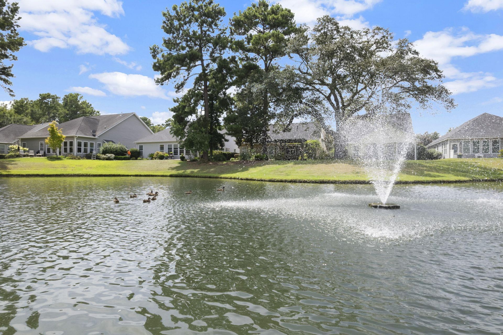 135 Brutus Lane Photo 8
