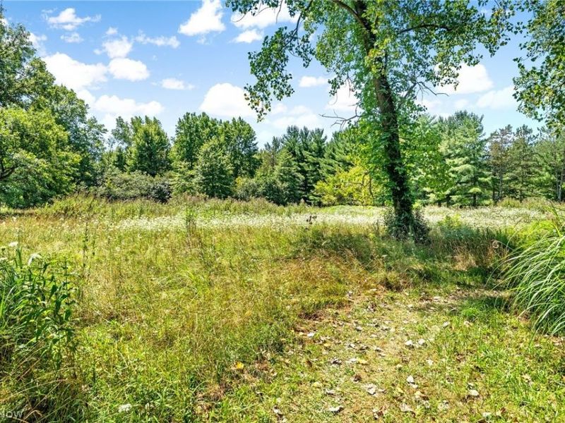 46802 U S RT 20, Oberlin, OH 44074 Photo 32