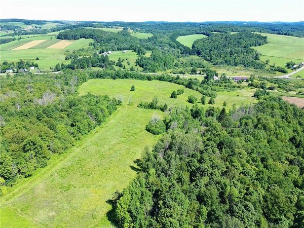 Lot 20.111 Billings Hill Road Road , Lebanon, NY 13334