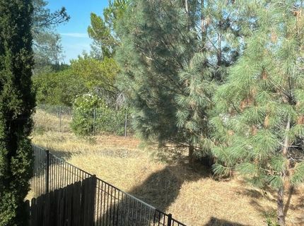 1102 Ferry Cir, Folsom, CA 95630 Photo