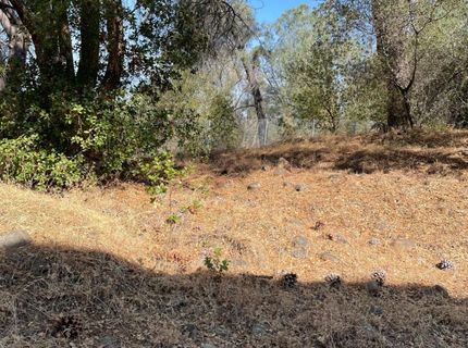 1102 Ferry Cir, Folsom, CA 95630 Photo