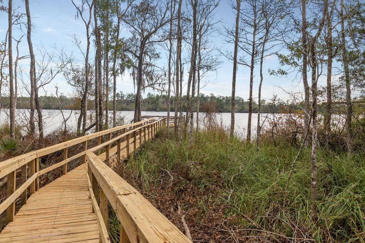 29 Gibson Road, Sopchoppy, FL 32358 Photo
