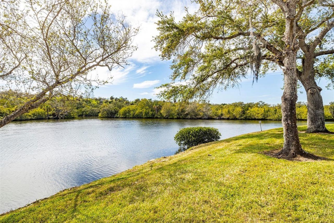 4122 Hampton Drive, Unit D, New Port Richey, FL 34652 Photo