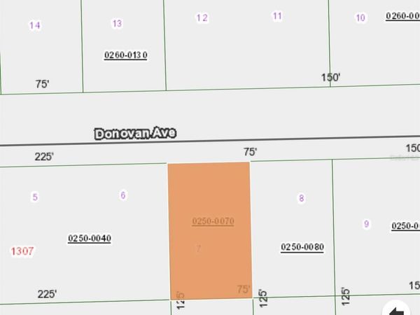 408 RUSTIC ROAD , SATSUMA, FL 32189