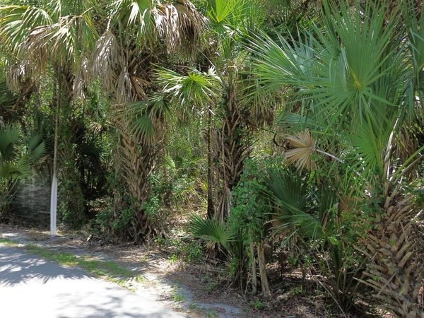 2256 Fawn Drive, Loxahatchee, FL 33470