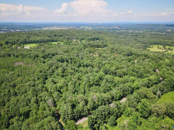5 Acres Part A Willow Bend Road, Decatur, AL 35603