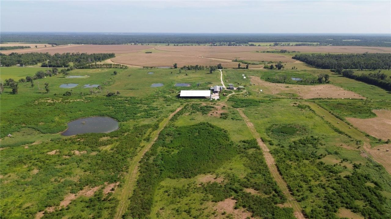 17780 Cr 132, Live Oak, FL 32060 Photo