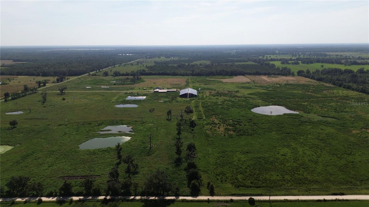 17780 Cr 132, Live Oak, FL 32060 Photo