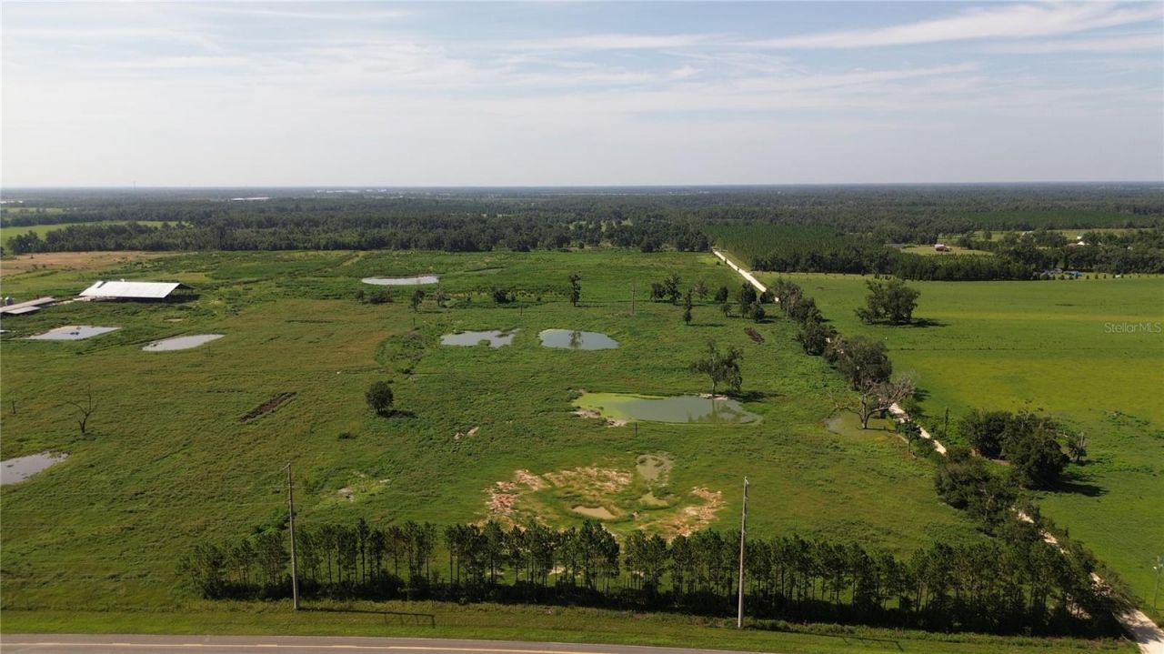 17780 Cr 132, Live Oak, FL 32060 Photo