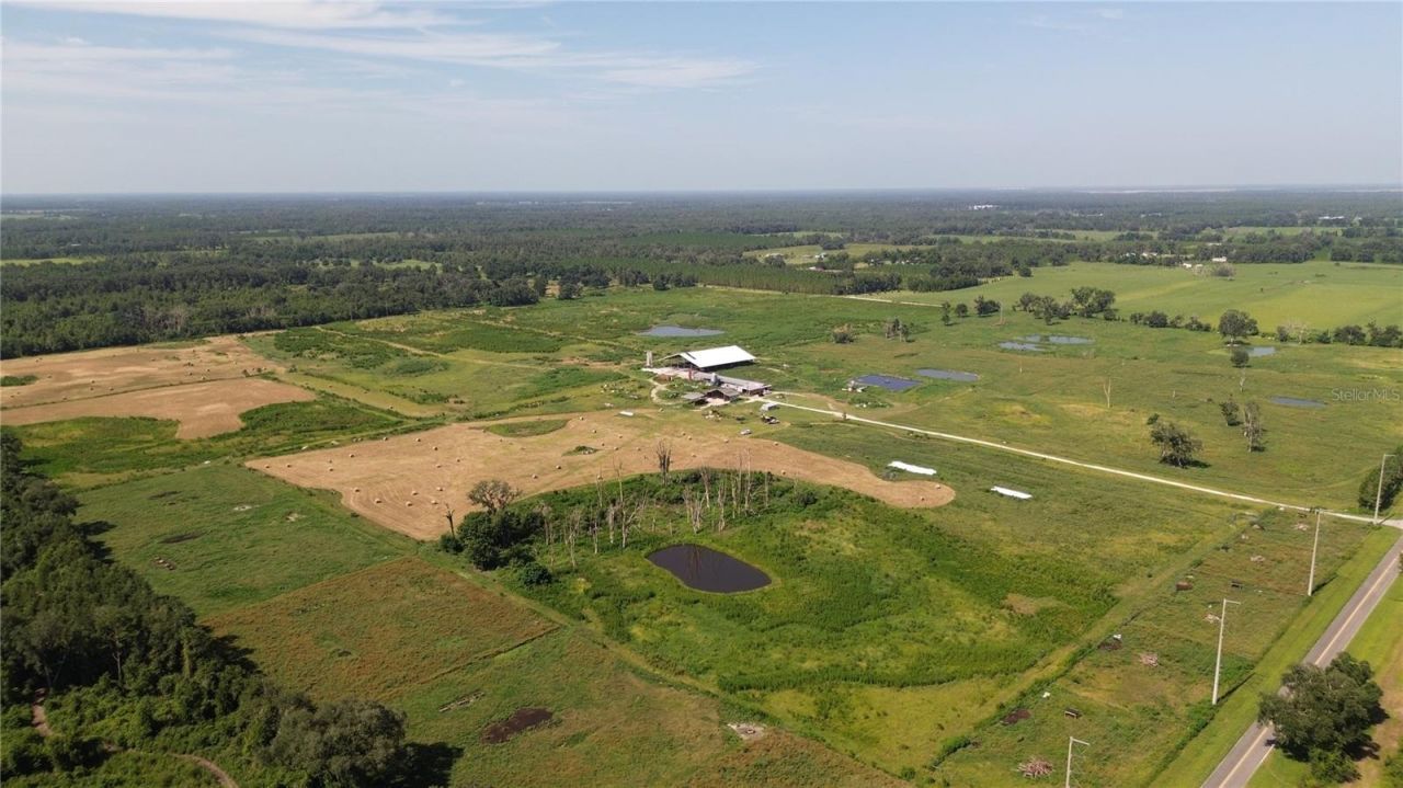 17780 Cr 132, Live Oak, FL 32060 Photo