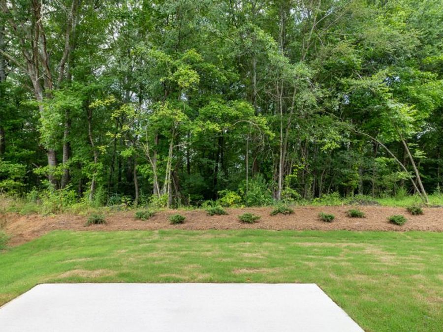 Property Image 80