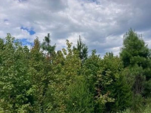 1199 KELLY ROAD, KINSALE, VA 22488