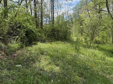 1325 State Highway 1036 , Campton, KY 41301