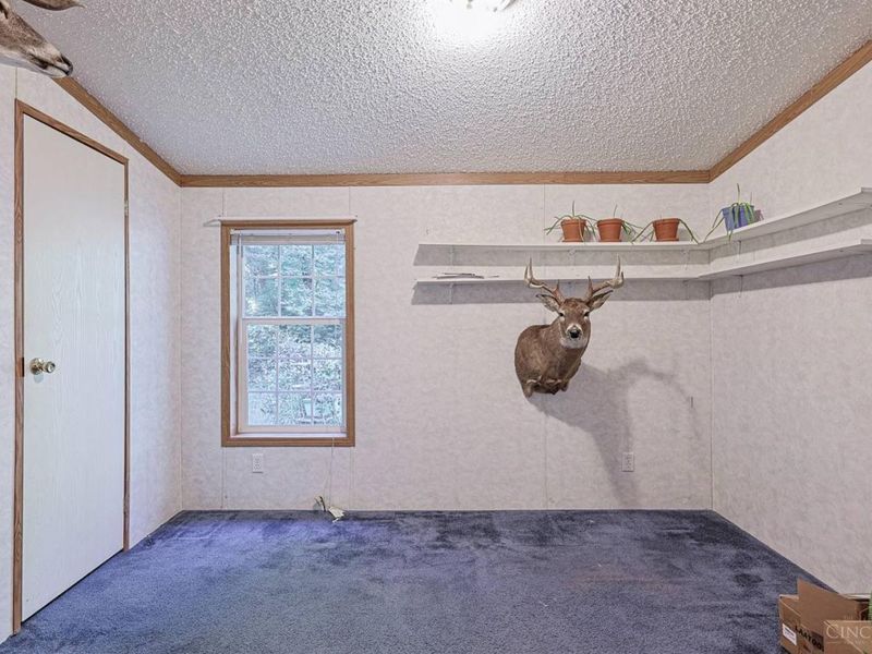 3974 Pettett Drive, Wayne Twp, OH 45107 Photo 45