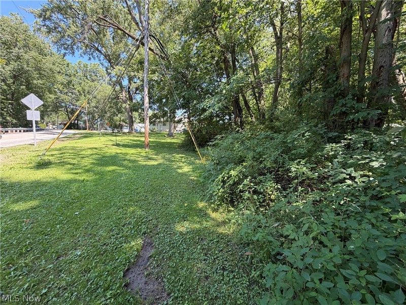 Lovers Lane NW, Warren, OH 44485 Photo 10