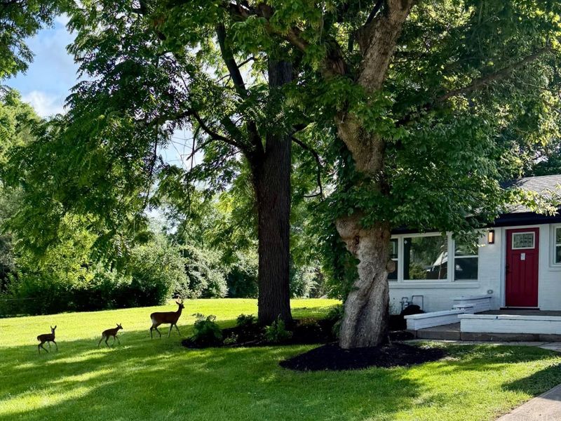 804 Eaton Avenue, Middletown, OH 45044 Photo 32