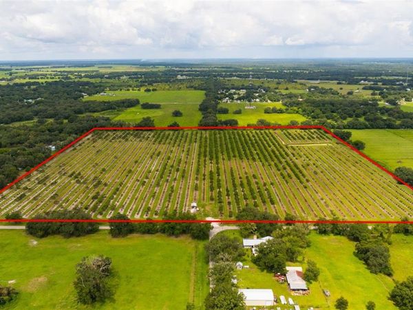 SW CARLTON AVENUE , ARCADIA, FL 34266