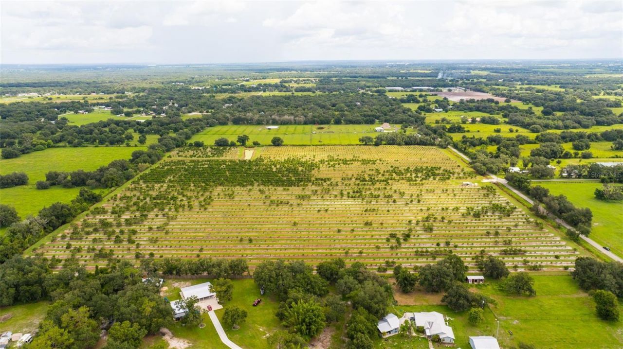 Sw Carlton Avenue, Arcadia, FL 34266 Photo