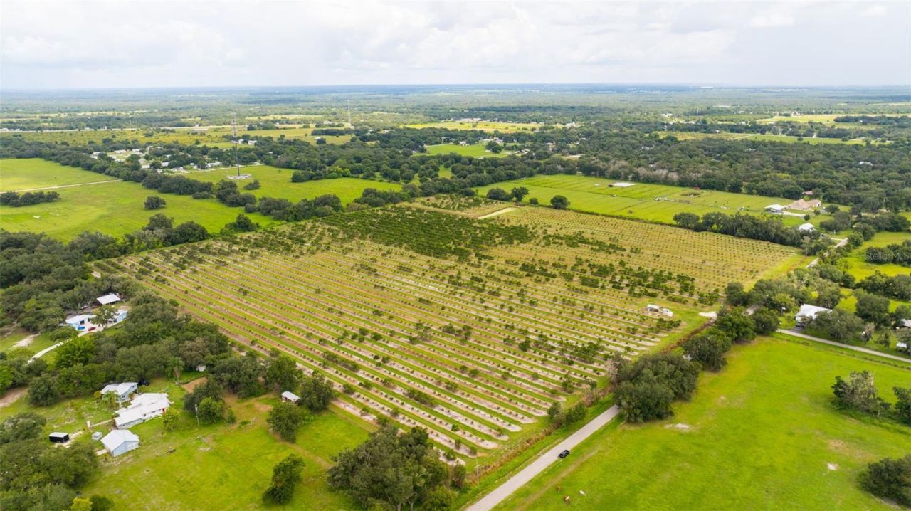 Sw Carlton Avenue, Arcadia, FL 34266 Photo