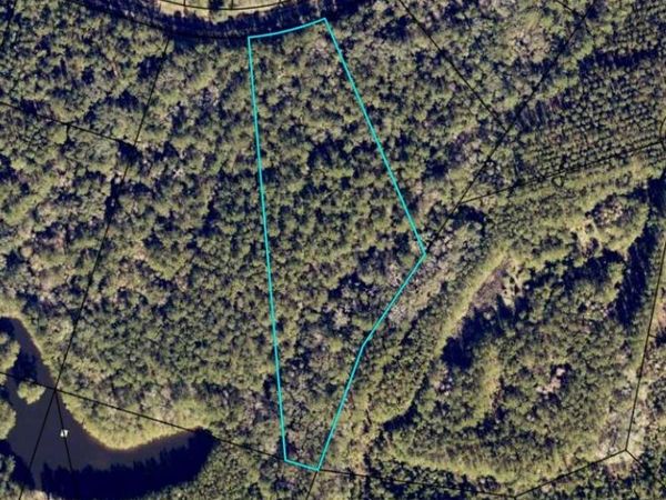 LOT 88 La Sole Lane, Waverly, GA 31565