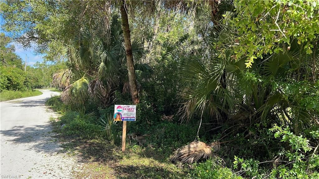 11851 Pine Ave , Fort Myers, FL 33905 Photo