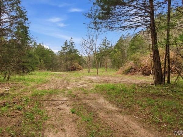 Tract3 W Highway 32 , Licking, MO 65542