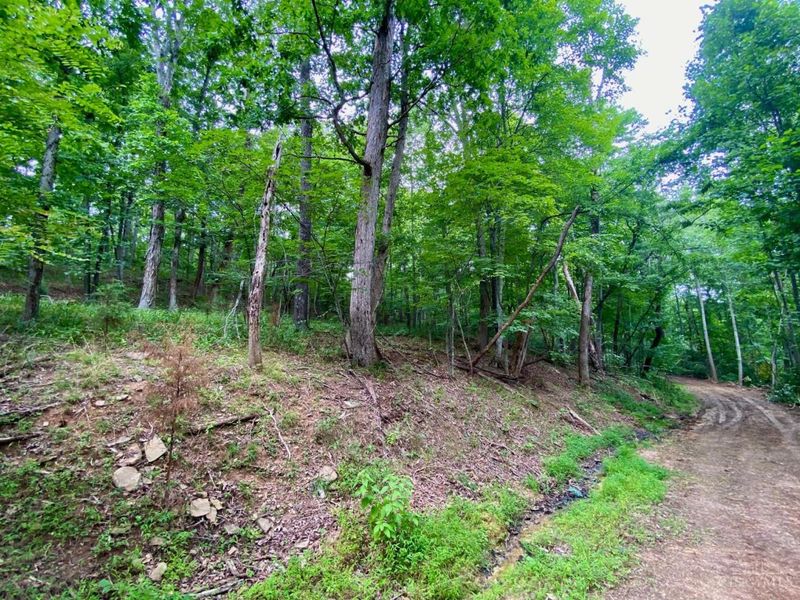 206 Thelma Lane, Blue Creek, OH 45616 Photo 13