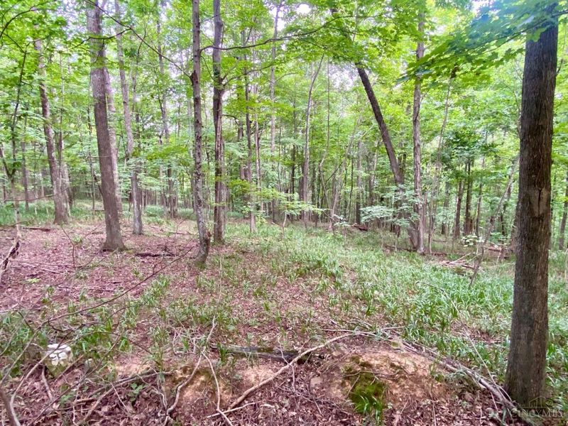 206 Thelma Lane, Blue Creek, OH 45616 Photo 14