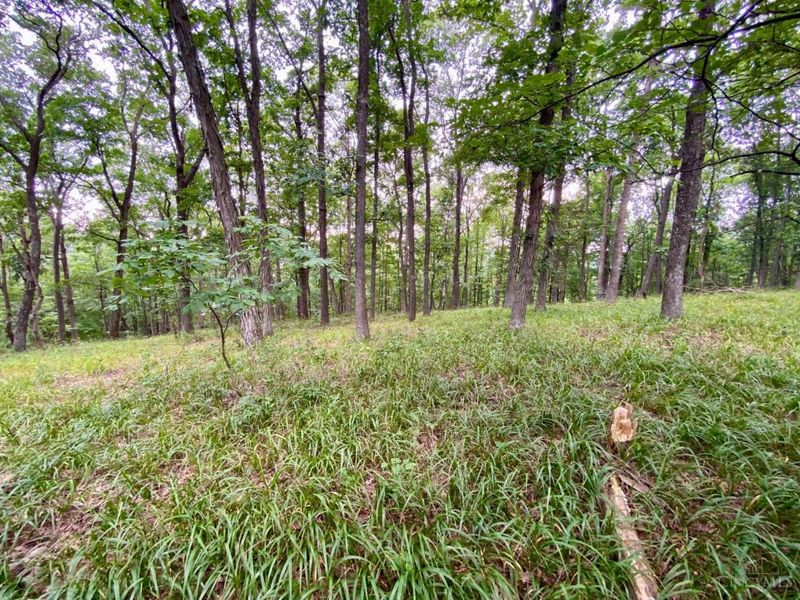 206 Thelma Lane, Blue Creek, OH 45616 Photo 23