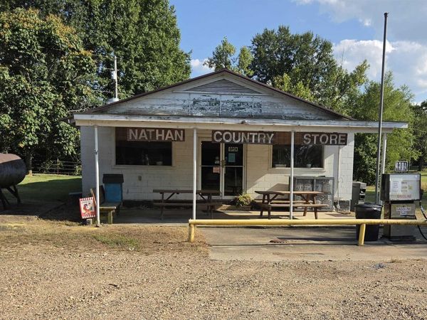 2119 Nathan Road , Nashville, AR 71852