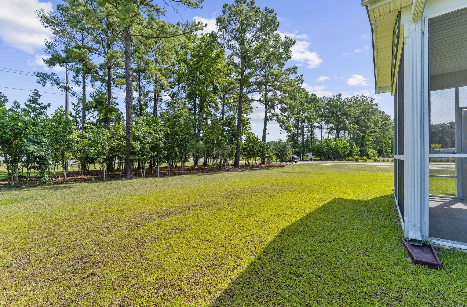 153 Winding Grove Lane Photo 41