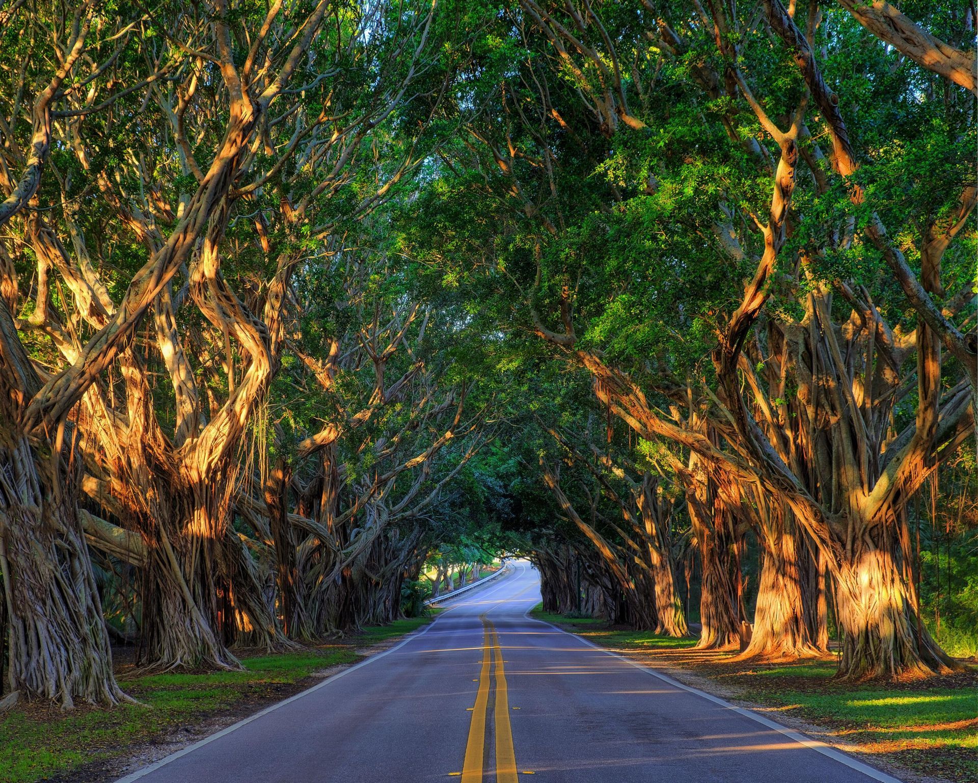 9164 SE Hawks Nest Court, Hobe Sound, FL 33455 Photo