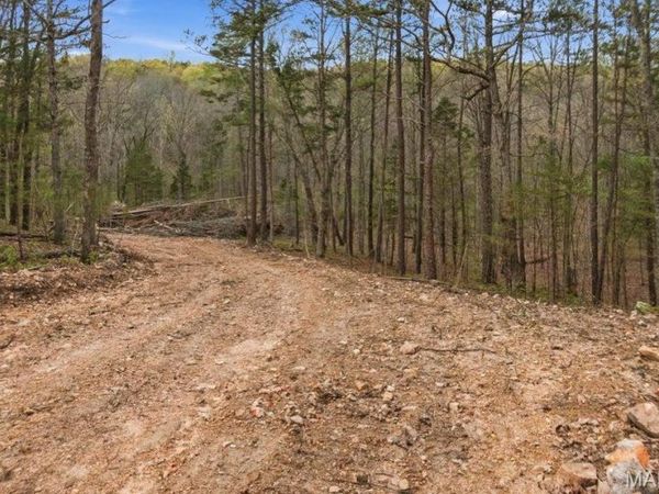 Tract 5 W Highway 32 , Licking, MO 65542