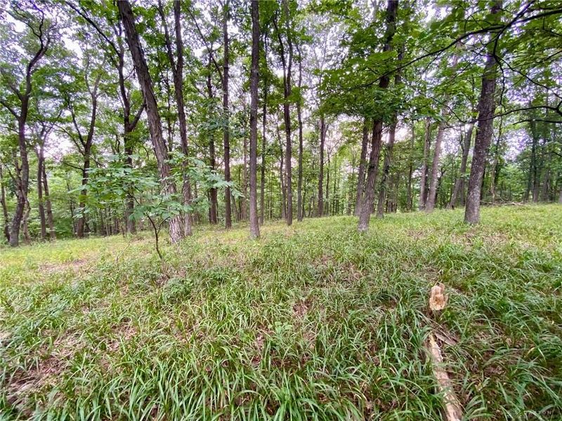 206 Thelma Lane, Blue Creek, OH 45616 Photo 24