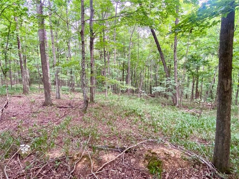 206 Thelma Lane, Blue Creek, OH 45616 Photo 8