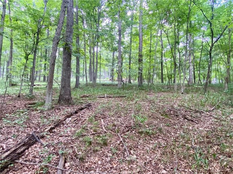 206 Thelma Lane, Blue Creek, OH 45616 Photo 9