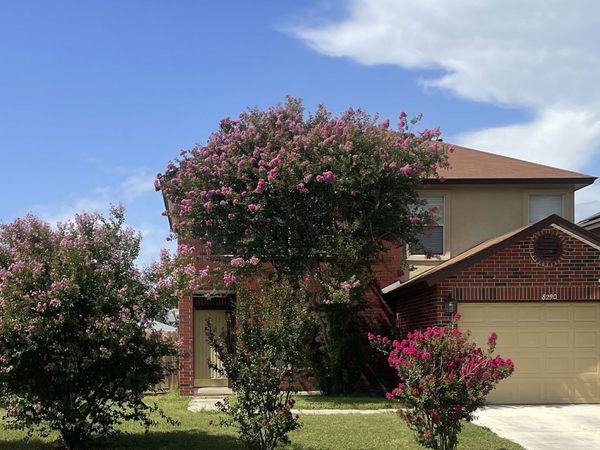 8290 MORNING GROVE, Converse, TX 78109