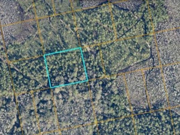 0 NO STREET, Oak Hill, FL 32759