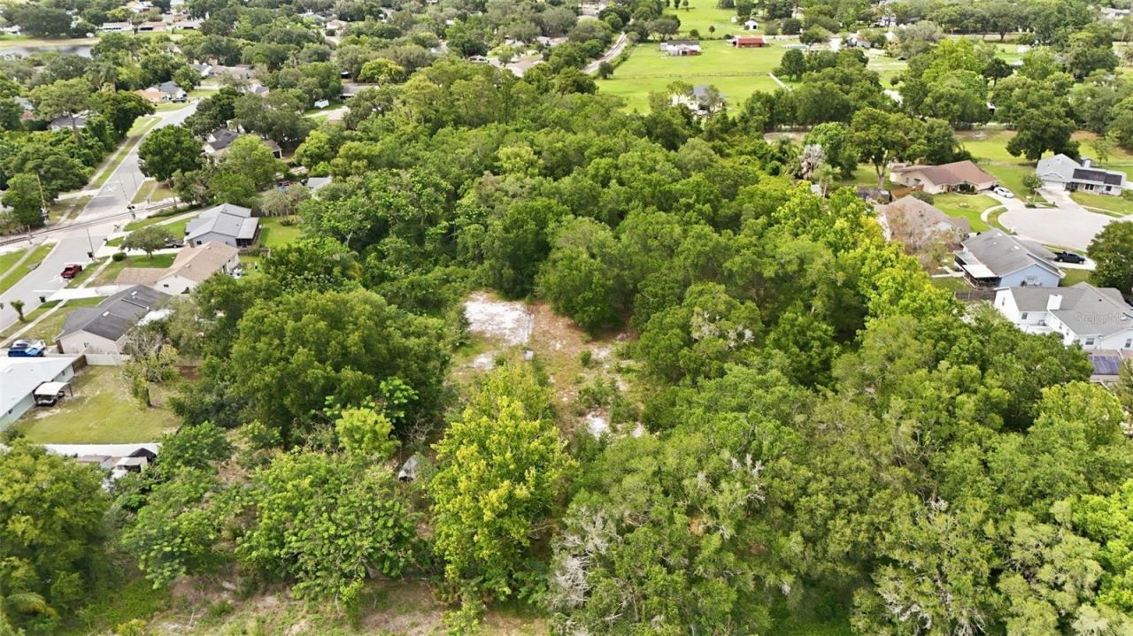 8667 A D Mims Road, Orlando, FL 32818 Photo