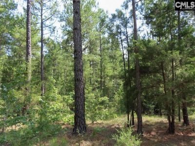 0 Landis Road, Winnsboro, SC 29180