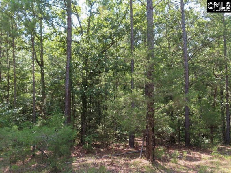 0 Landis Road Photo 11