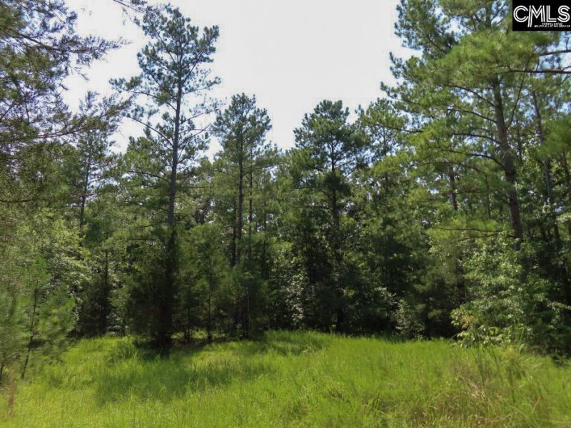 0 Landis Road Photo 12